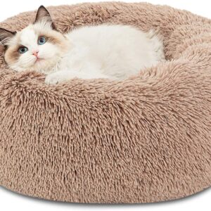 Cat Beds for Indoor Cats - Large Cat Bed Washable