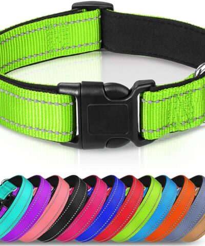 Reflect Dog Collar,12 Colors, Soft Neoprene Padded